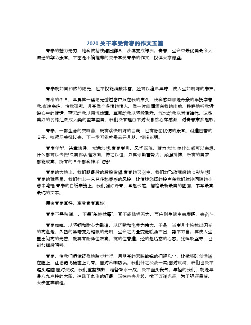 2020关于享受青春的作文五篇