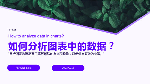 2023年分析图如何表达？10个技巧简单易学!报告模板