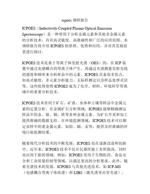 icpoes调研报告