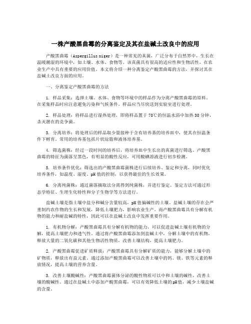 一株产酸黑曲霉的分离鉴定及其在盐碱土改良中的应用