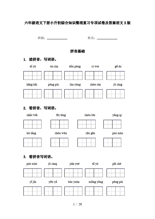 六年级语文下册小升初综合知识整理复习专项试卷及答案语文S版