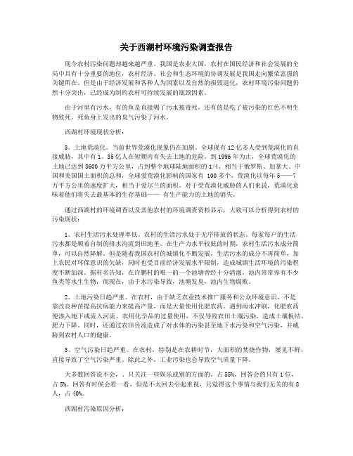 关于西湖村环境污染调查报告