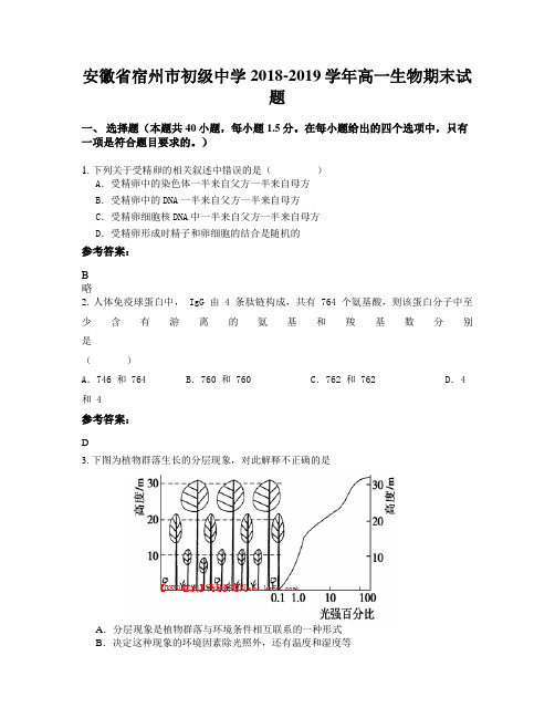 安徽省宿州市初级中学2018-2019学年高一生物期末试题