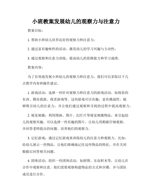 小班教案发展幼儿的观察力与注意力