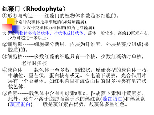 红藻门(Rhodophyta)汇总