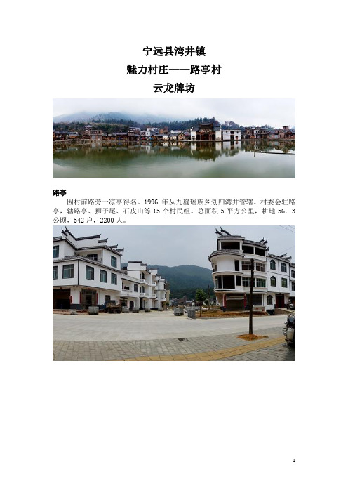 宁远县湾井镇路亭村_云龙牌坊介绍