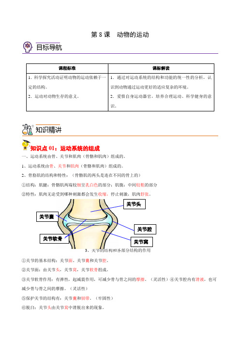 2022-2023学年八年级上学期生物同步精品讲义(人教版)5-2-1 动物的运动(教师版)