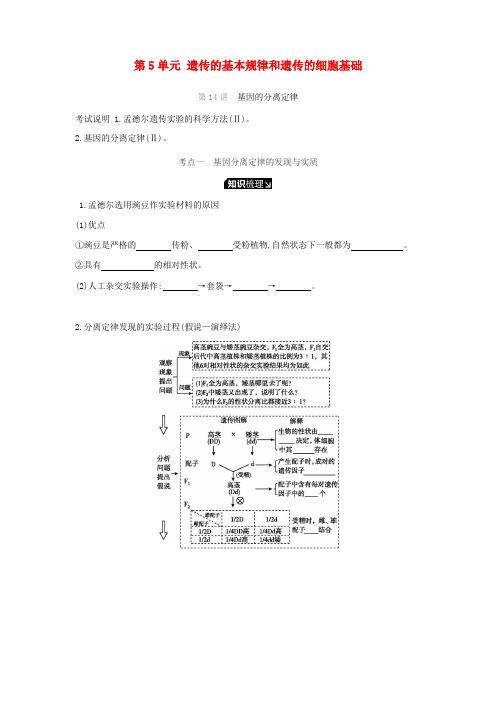 2019届高考生物一轮复习 第5单元 遗传的基本规律和遗传的细胞基础听课学案