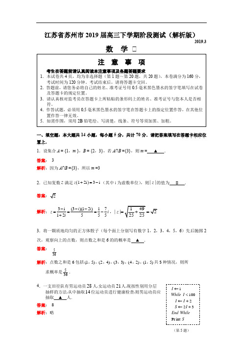 江苏省苏州市2018-2019学年高三(下)3月段考数学试卷(原创解析)