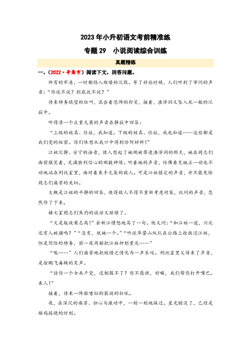 专题29 小说阅读综合训练-2023年小升初语文考前精准练(全国版)