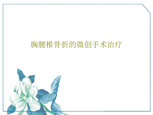 胸腰椎骨折的微创手术治疗48页PPT