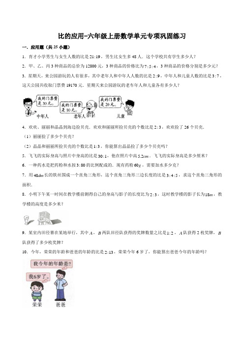 人教版数学六年级上册 第四单元 比 应用题专项巩固(带答案)