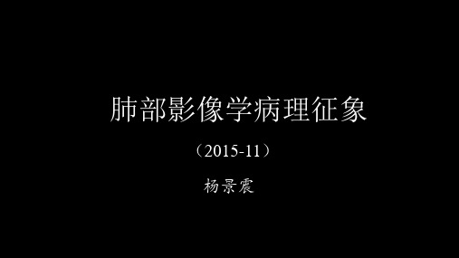 肺部影像学病理征象(2015-11)