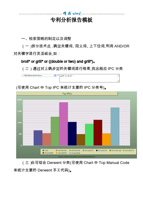 专利分析报告模板