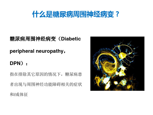 糖尿病周围神经病变筛查方法的进展行业荟萃