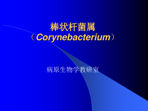 棒状杆菌属(Corynebacterium)