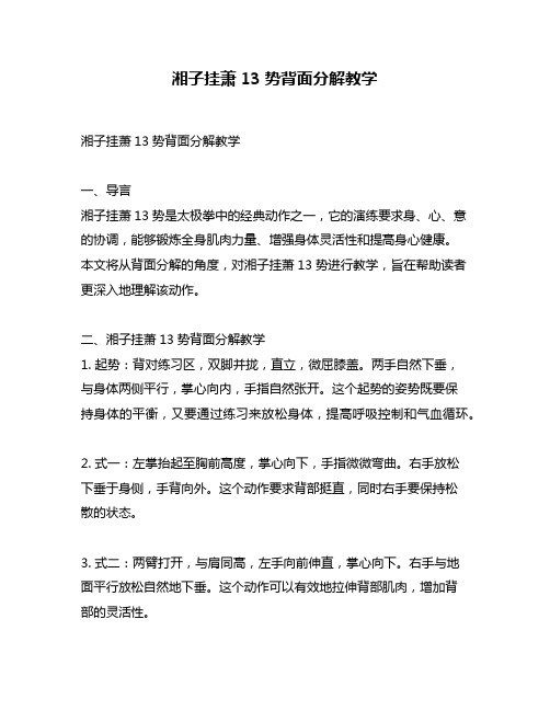 湘子挂萧13势背面分解教学