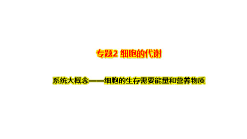 专题2 细胞的代谢 系统大概念——细胞的生存需要能量和营养物质