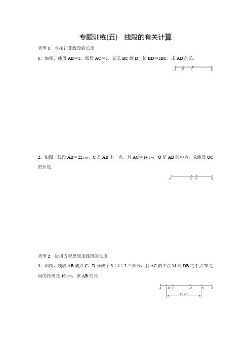 北师大版七年级数学上名校课堂专题训练(五)(含答案)