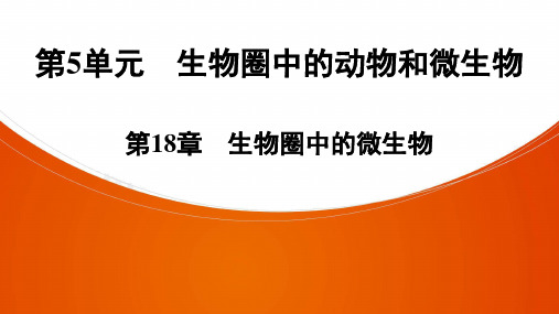 生物八年级上册广东专用版第5单元 第18章 生物圈中的微生物