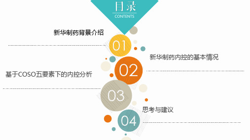 内控失效案例PPT课件