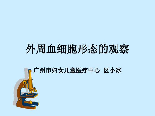 外周血细胞形态的观察