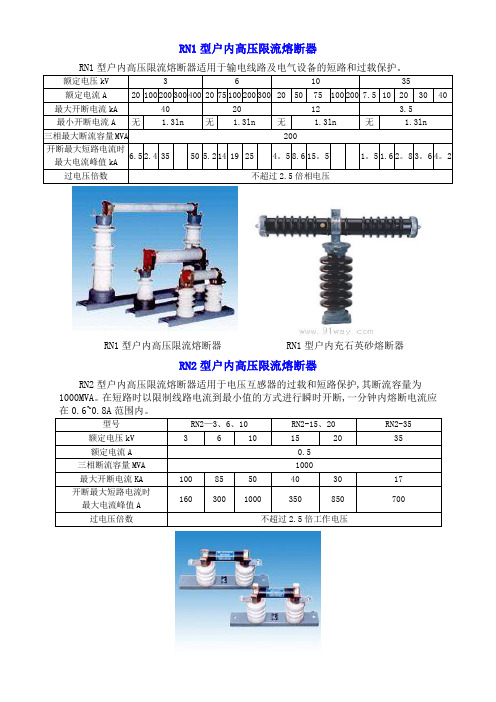 RN型高压熔断器