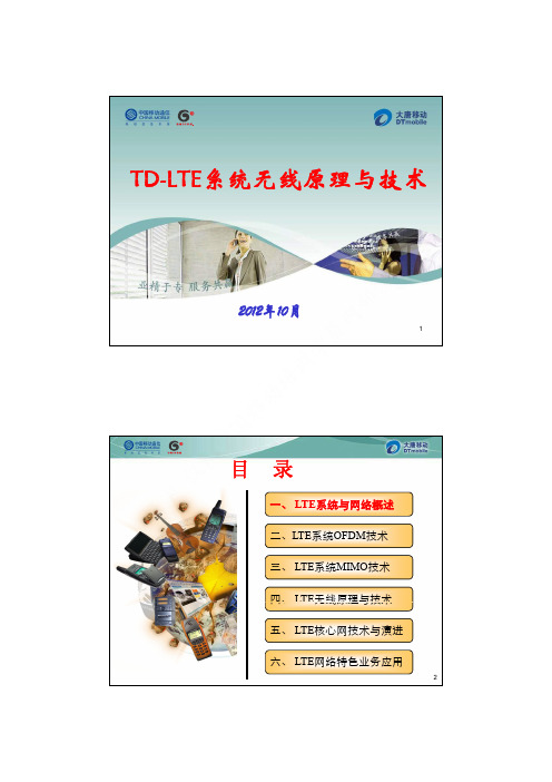 1. TD-LTE系统无线原理与技术