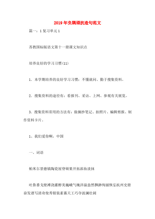 2019年负隅顽抗造句范文