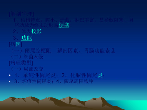 急性阑尾炎(共23张PPT)