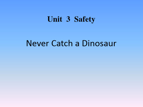 《Never Catch a Dinosaur》Safety PPT课件