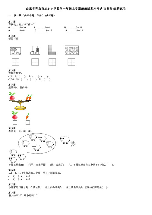 山东省青岛市2024小学数学一年级上学期统编版期末考试(自测卷)完整试卷