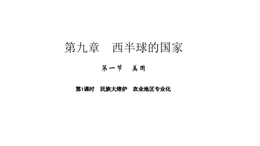 七年级下册人教版地理习题课件 第九章第一节第1课时 民族大熔炉  农业地区专业化