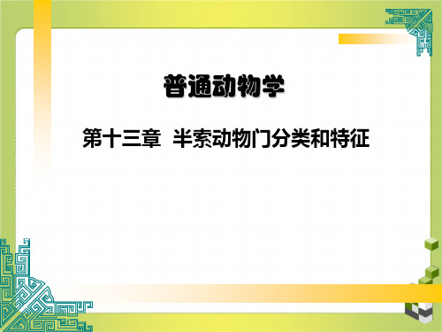 普通动物学第十三章半索动物门分类和特征