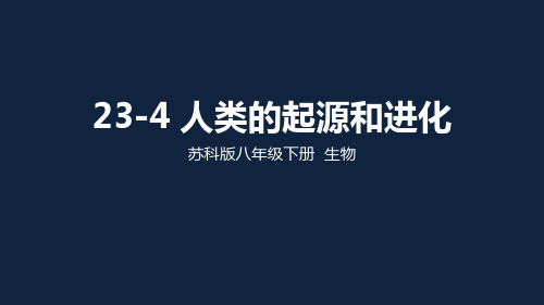 苏科版生物八年级下册人类的起源和进化