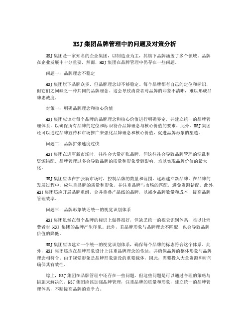 HSJ集团品牌管理中的问题及对策分析