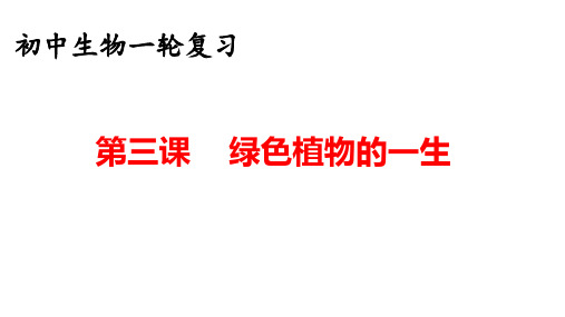 2024年中考复习第三课：绿色植物的一生