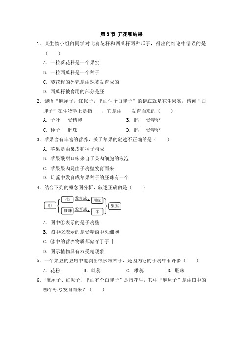 人教版七年级生物上册同步练习 3.2.3 开花和结果