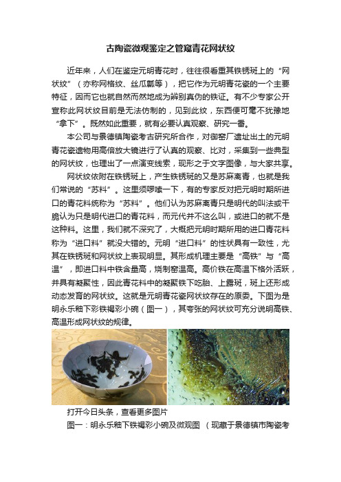 古陶瓷微观鉴定之管窥青花网状纹