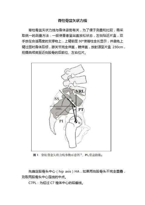 脊柱骨盆矢状力线