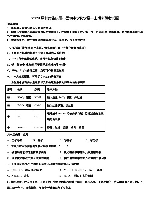 2024届甘肃省庆阳市孟坝中学化学高一上期末联考试题含解析