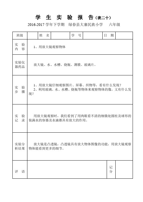 学生实验报告(六年级下册)