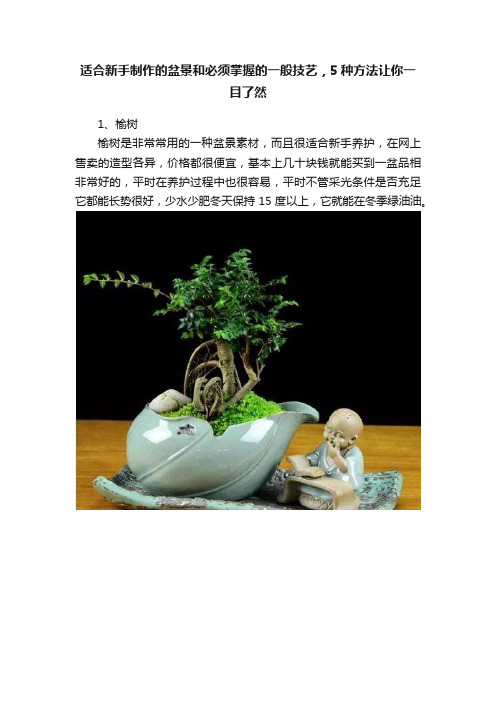 适合新手制作的盆景和必须掌握的一般技艺，5种方法让你一目了然