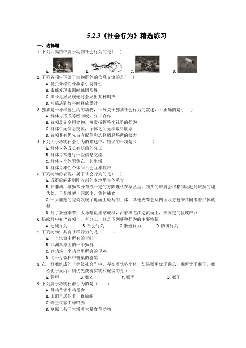 2020年人教版生物八年级上册5.2.3《社会行为》精选练习(含答案)