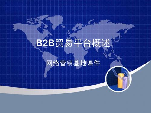 B2B贸易平台概述