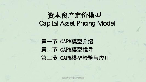 资本资产定价模型CAPM模型课件