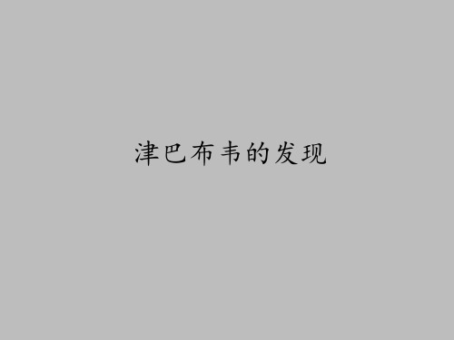 人民出版社高中历史选修：探索历史的奥秘津巴布韦的发现