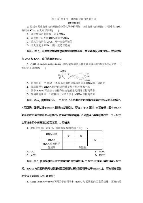 2019-20202学年新教材人教版必修2 第4章 第1节 基因指导蛋白质的合成 作业