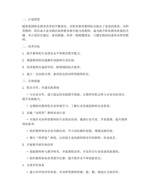 双师型教师培养工作计划