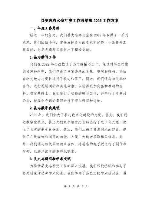 县史志办公室年度工作总结暨2023工作方案